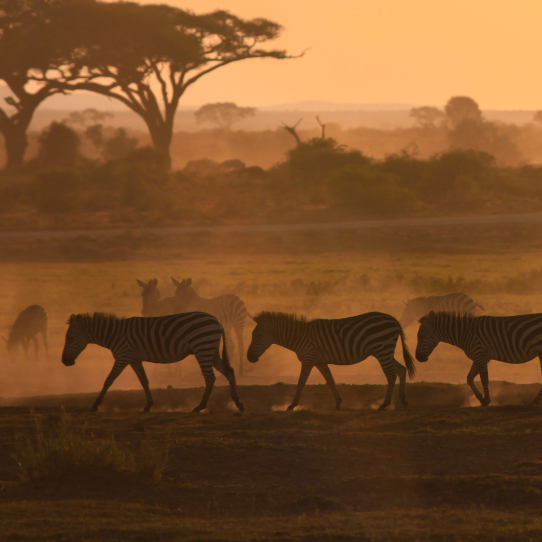 Featured Stay Wellthy destination