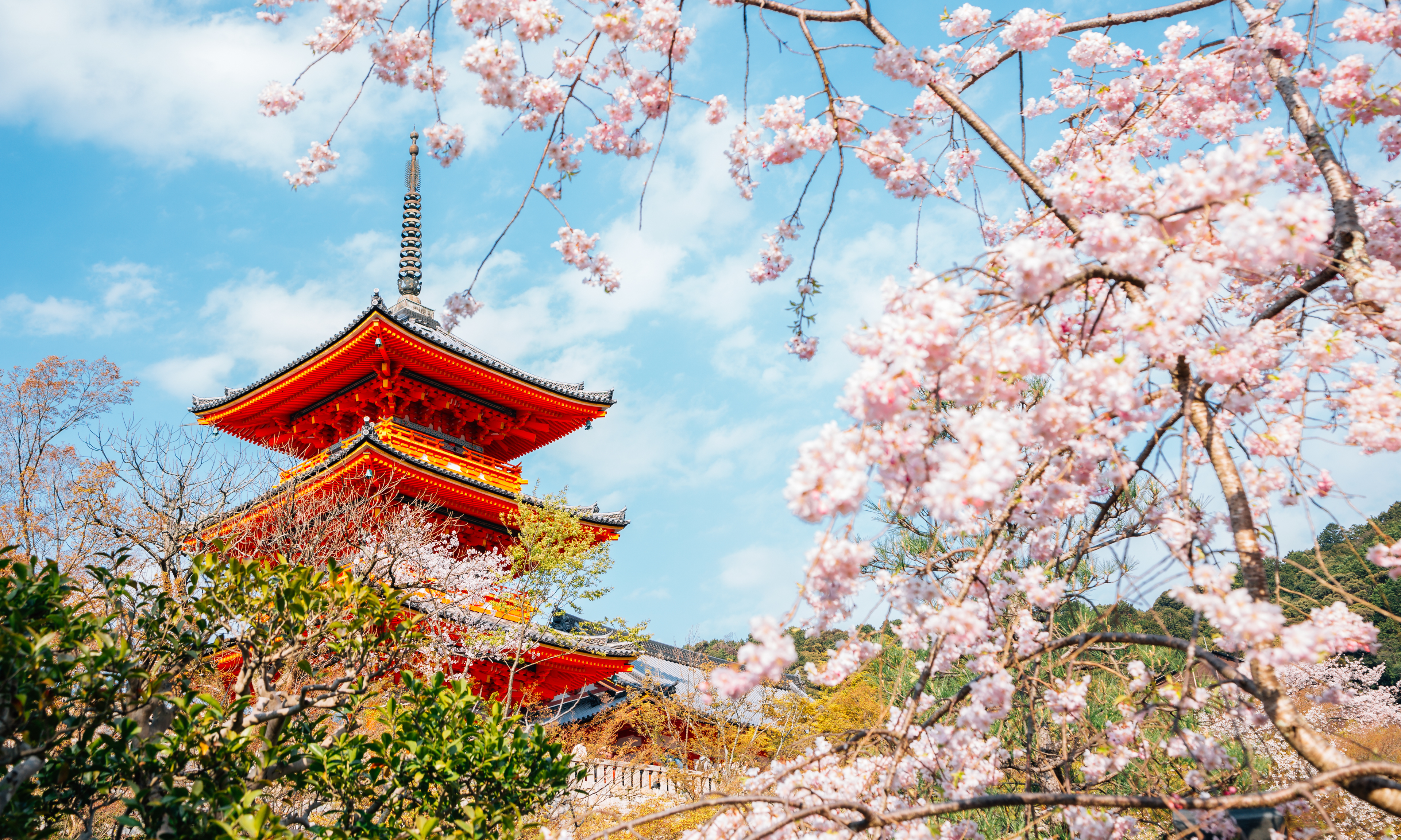 Japan | Tokyo • Kyoto • Osaka