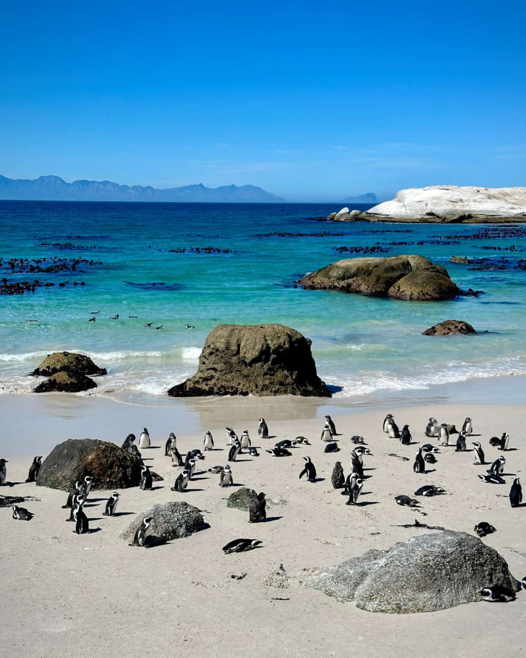 South Africa | Cape Town • Johannesburg